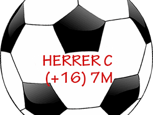 Herrer senior 7 mands Forår